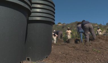 Escondido nursery owner sues California as state destroys 32,000 plants – NBC 7 San Diego