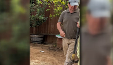 Gardener self-deports after being detained in West Hollywood – NBC Los Angeles