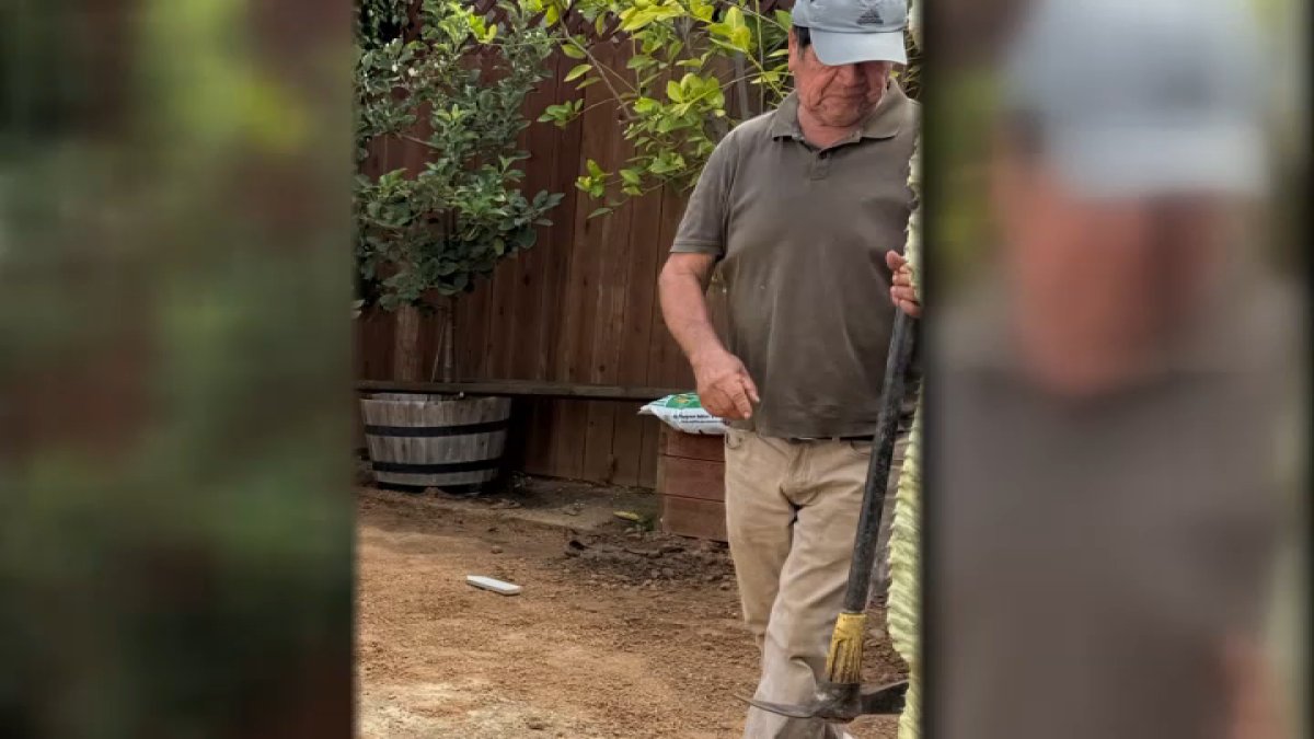 Gardener self-deports after being detained in West Hollywood – NBC Los Angeles