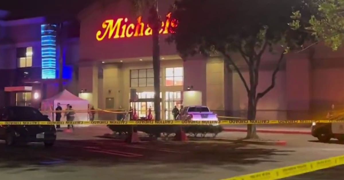 1 dead in shooting outside a Los Angeles Michaels in San Fernando Valley