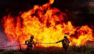 Are California Wildfires Causing Childhood Autism?