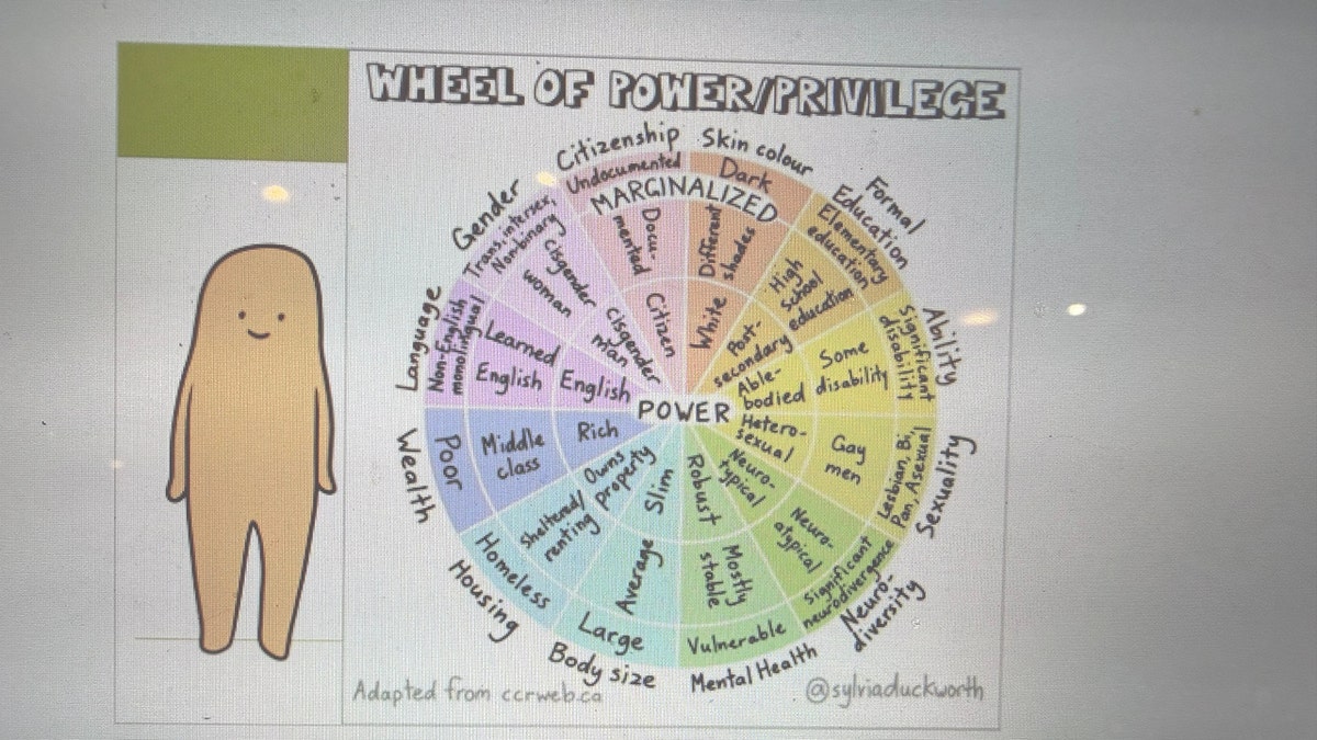 Wheel of Privilege slide California