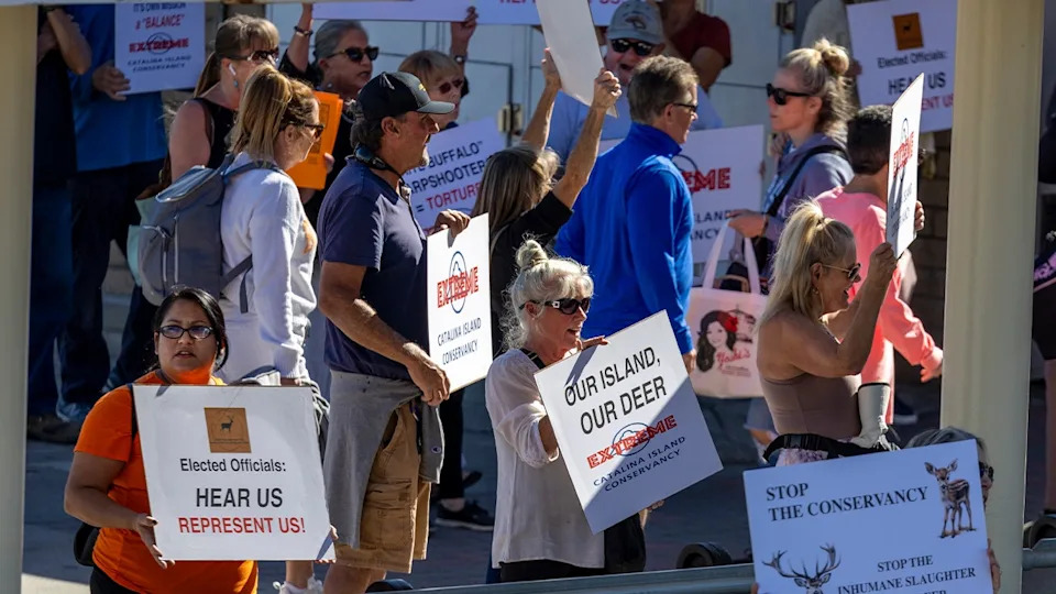 Protesters hold signs opposing Catalina Island deer management during a public demonstration