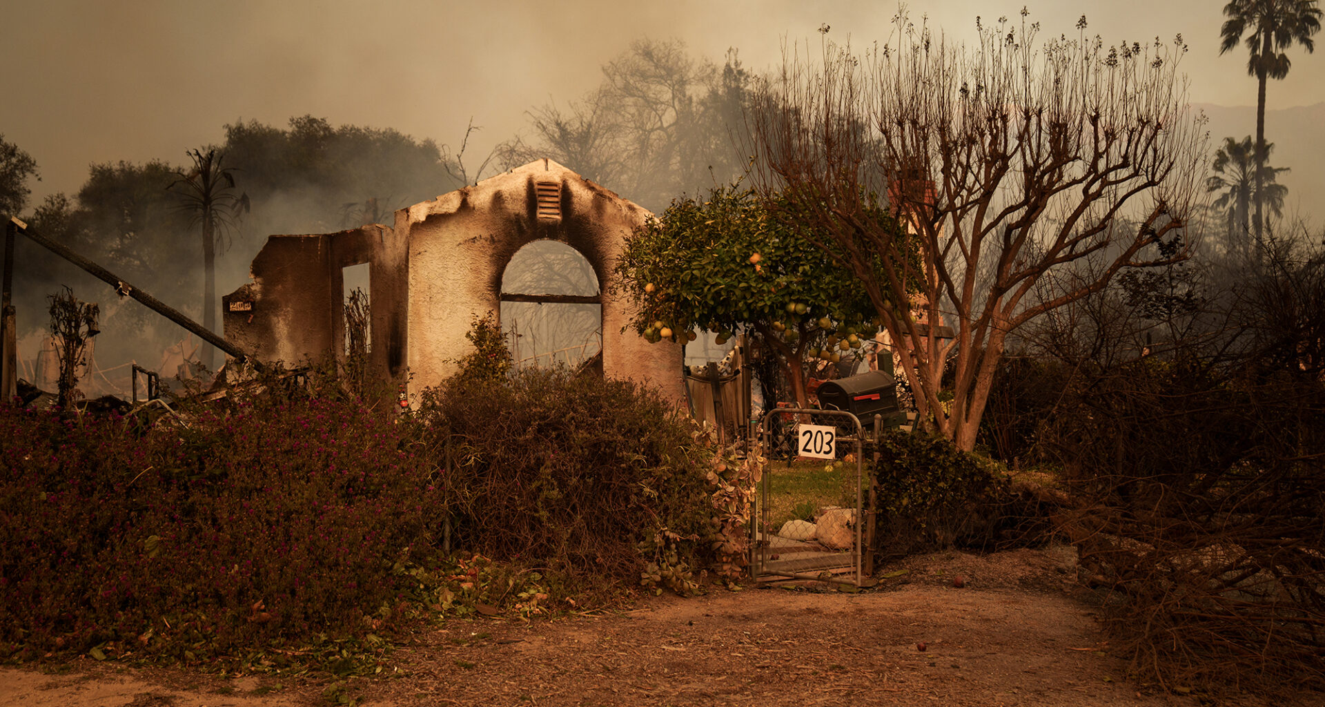 Insurers’ profits boost investors but harm customers