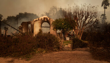 Insurers’ profits boost investors but harm customers