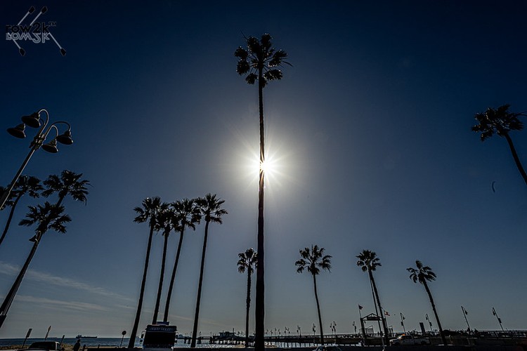 SoCal vibe at strength