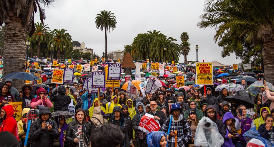 A large crowd under umbrellas gathers at a protest in a park, holding signs with various messages and union logos, surrounded by palm trees on a cloudy day.