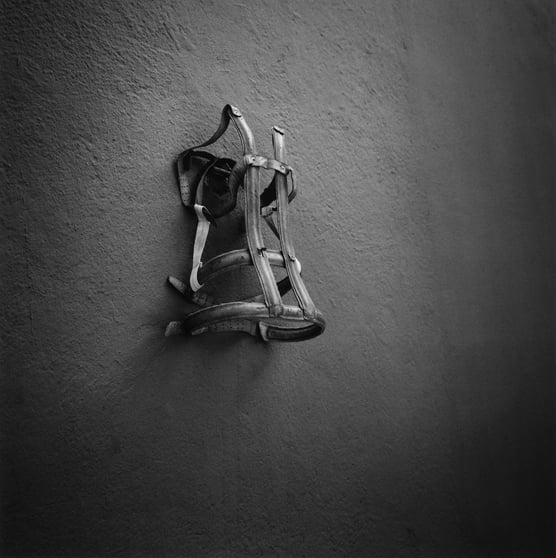 Landmark Graciela Iturbide Exhibition