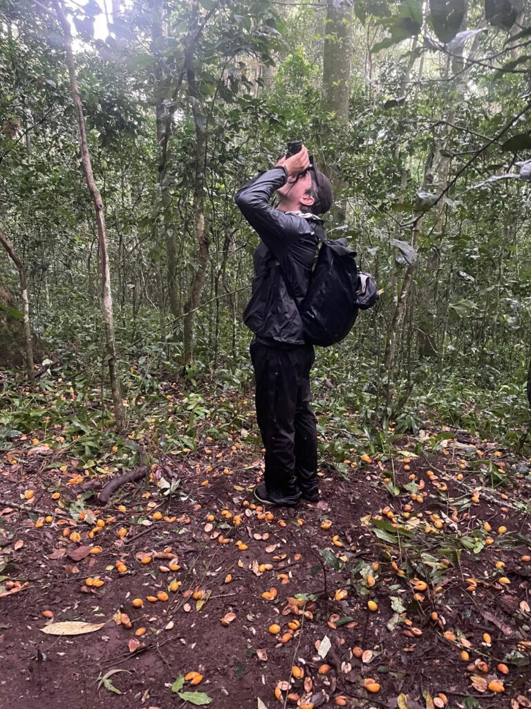 a man using binoculars to scan the treetops while standing among dozens of orange fruits on the forest floor