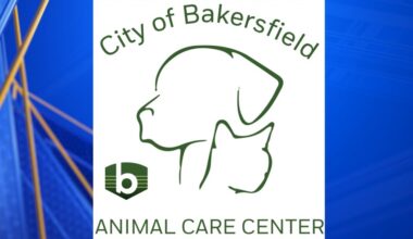 Yahoo lifestyle home