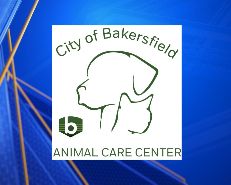 Yahoo lifestyle home