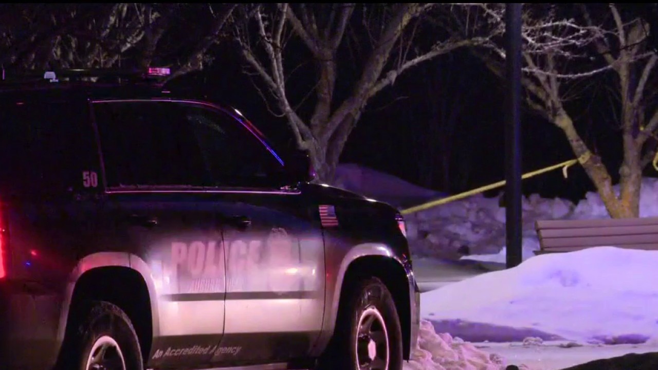 Police searching for suspects after stabbing at Oakland University