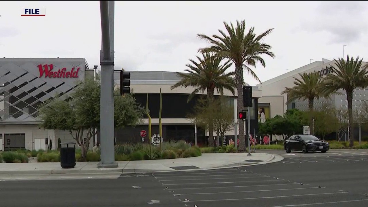 SUGGESTED VIDEO: Brazen robbery at SJ's Valley Fair mall 