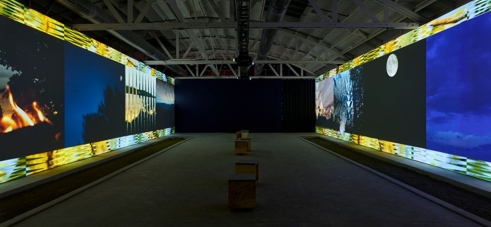Wide digital installation spanning a dark gallery, showing shifting images of forests, foliage, and abstract patterns across a panoramic scene