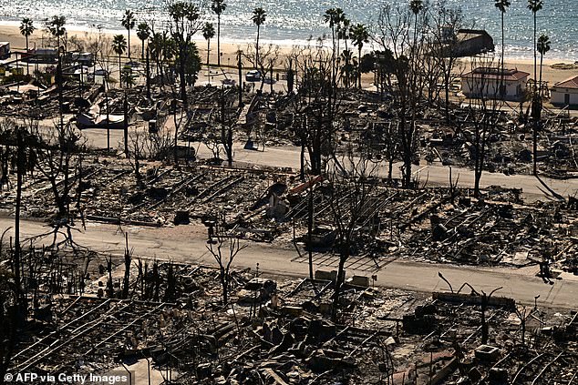 She has also been criticized for her efforts to rebuild the wealthy conclave following the fire