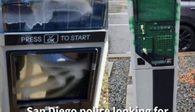 Authorities are asking for the public's help in identifying who is responsible for vandalizing newly installed parking pay stations throughout Balboa Park