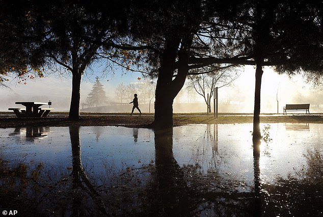 A walker takes advantage of the clearing skies to stroll past rain puddles at Lake Balboa Park in Lake Balboa