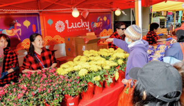 Yahoo lifestyle home