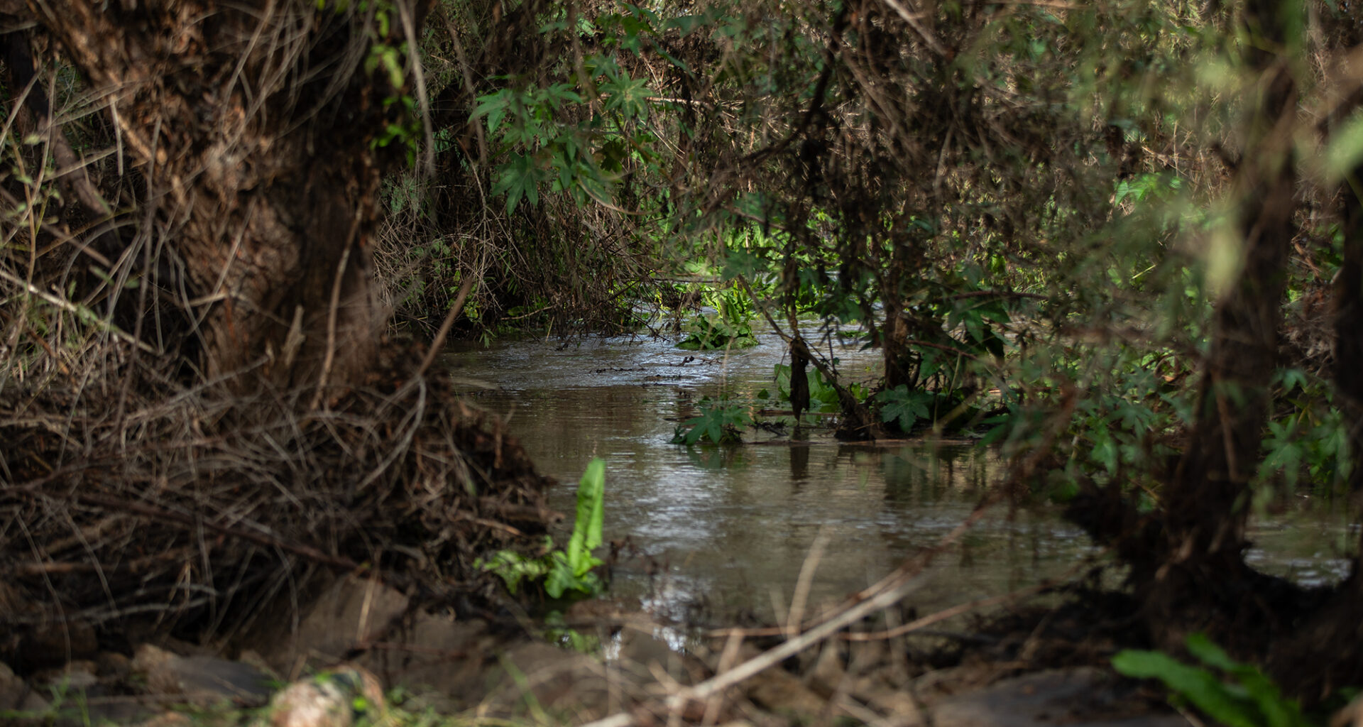 Tijuana River cleanup continue thanks to bipartisan efforts