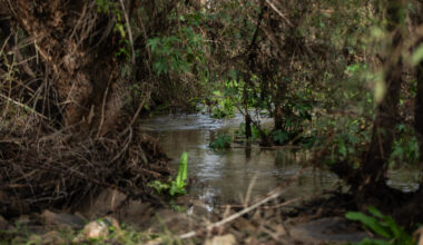 Tijuana River cleanup continue thanks to bipartisan efforts