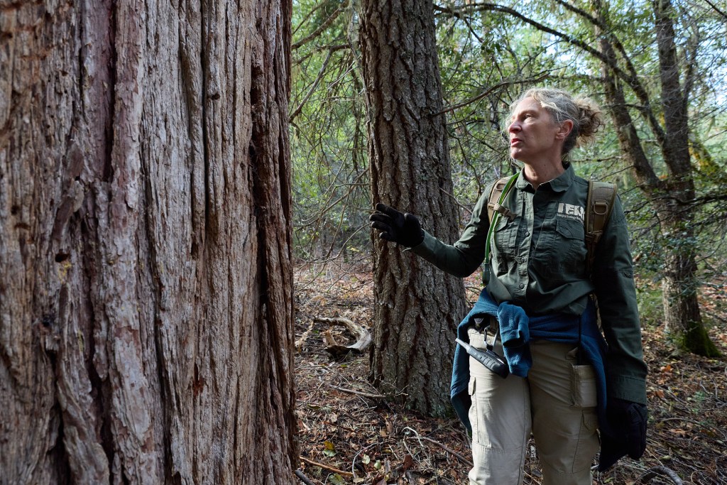 A person in brown hiking gear and black gloves stands near a tree trunk in a forest. The person is looking and speaking off-frame, while a close-up of the tree bark is visible in the foreground on the side of the frame.