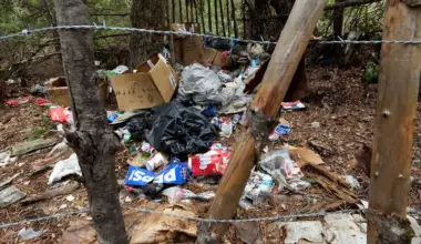 ‘Little death bombs’: Illegal cannabis farms poison California’s forests. Who’s cleaning them up?