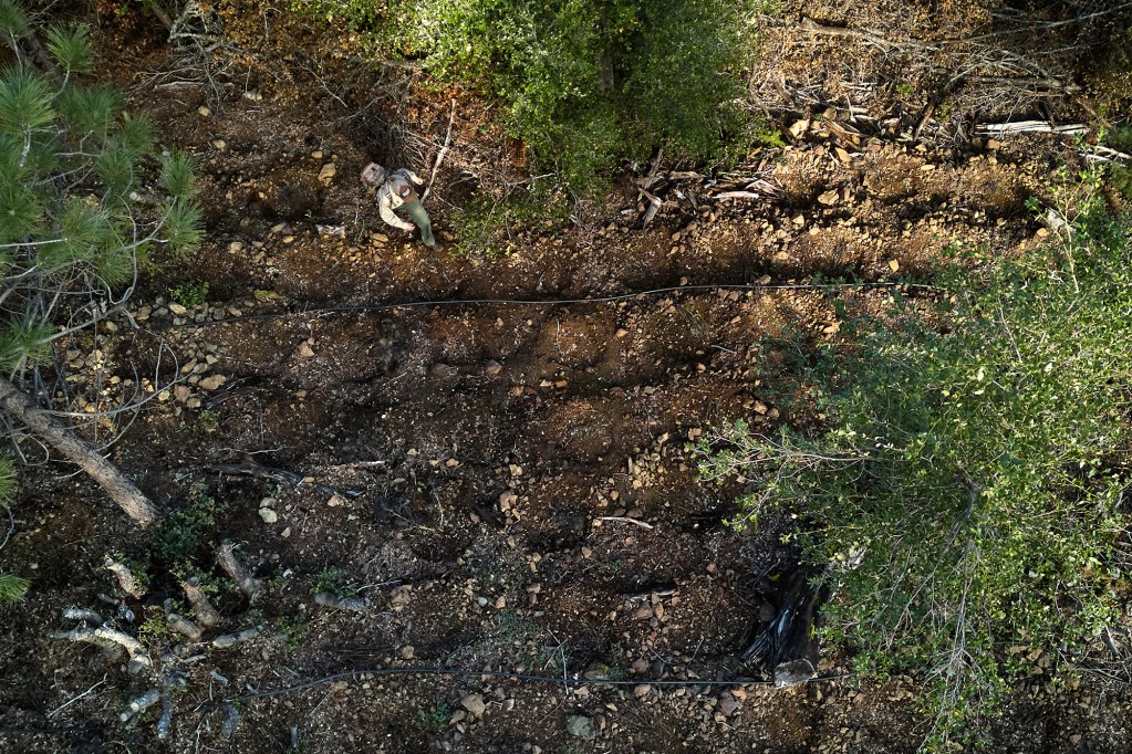 An aerial view of a worker walking through an area that has a bunch of holes dug in the dirt in the center of a wooded area.
