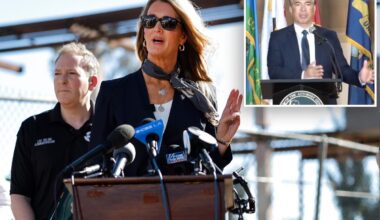 $8.6 billion in suspected California small business fraud uncovered