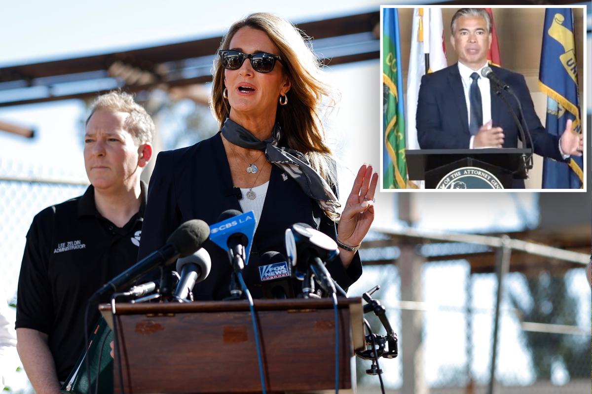 $8.6 billion in suspected California small business fraud uncovered