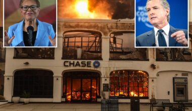 Dead wood — from City Hall to Sacramento