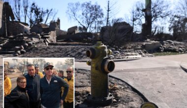 Judge clears way for mega lawsuit blaming LA and California for deadly Palisades Fire