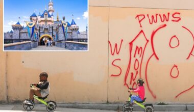Kids who report LA crime rewarded with free Disneyland tickets in new neighborhood challenge