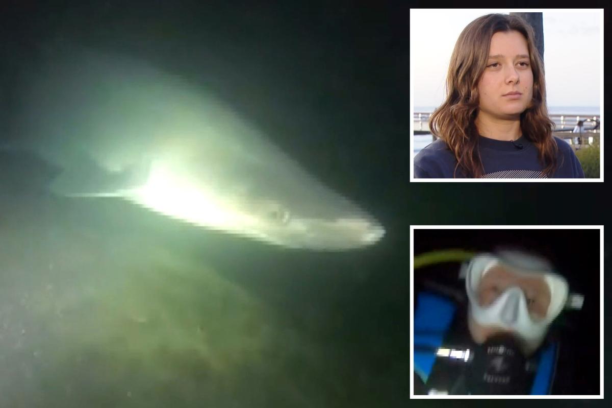 Divers come face-to-face with super rare deep-water shark off California: 'Terrifying'