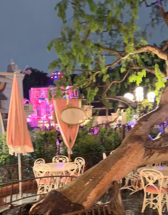 Outdoor dining area at a park with a large tree in the foreground.