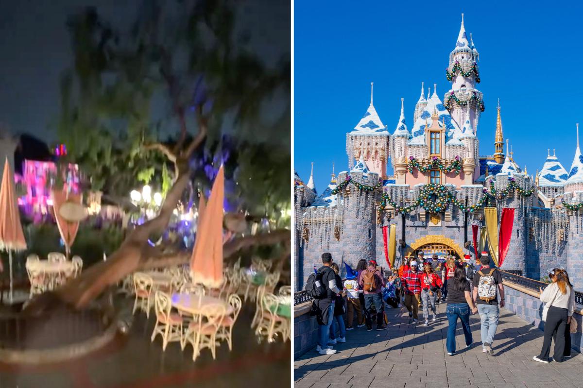 Disneyland downplays claim of a tree falling on visitors