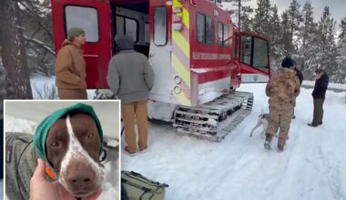 California first responders rescue camper and dog stranded in snow