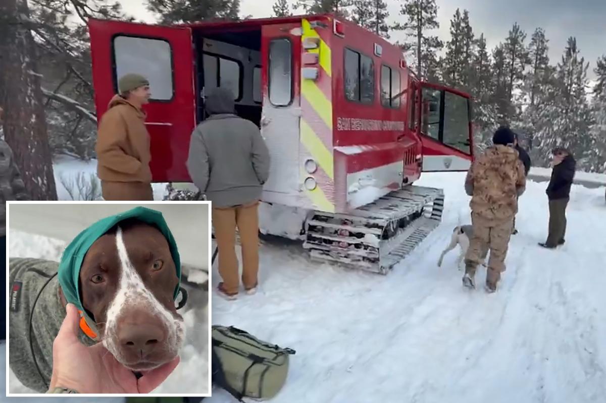 California first responders rescue camper and dog stranded in snow