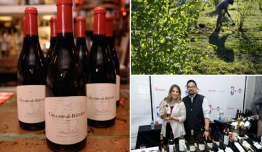 Another California wine giant shuts site and axes staff as chaos rips across Napa Valley