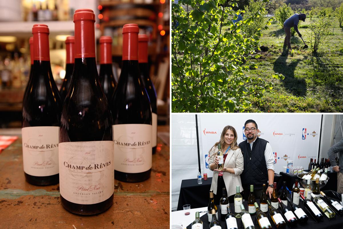 Another California wine giant shuts site and axes staff as chaos rips across Napa Valley