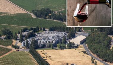 More California wineries closing as drinking habits change