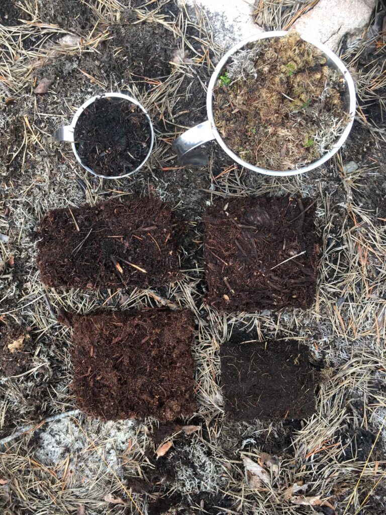 A view from above of different samples of dirt sitting on the ground.