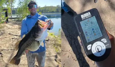 17 pound California bass