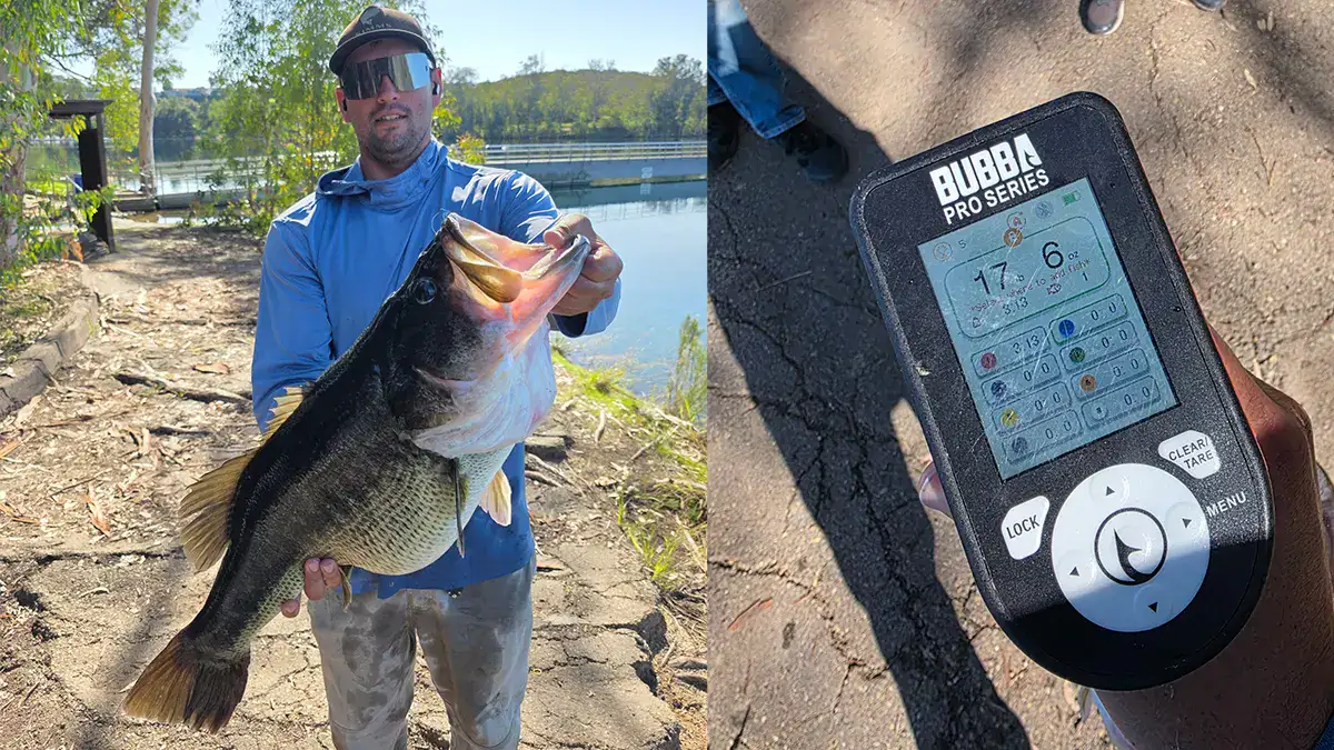 17 pound California bass