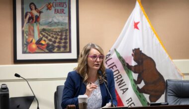 Amid a dismal field of governor candidates, let's draft Buffy Wicks