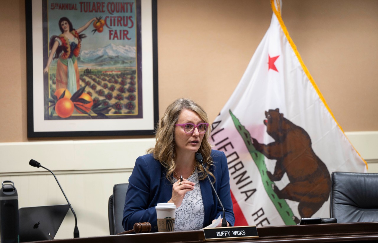 Amid a dismal field of governor candidates, let's draft Buffy Wicks