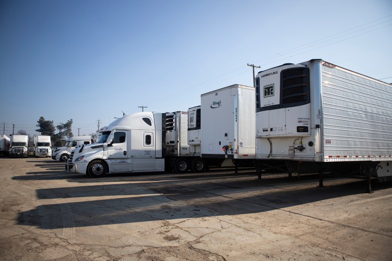 A row of semi trucks and refrigerated trailers are parked side by side in a dusty lot under a clear blue sky, with long shadows stretching across the pavement.