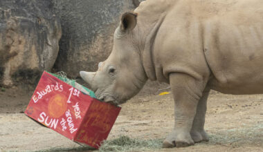 San Diego Zoo alliance, Illumina partner to protect 'fragile biodiversity'