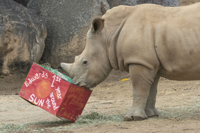 San Diego Zoo alliance, Illumina partner to protect 'fragile biodiversity'