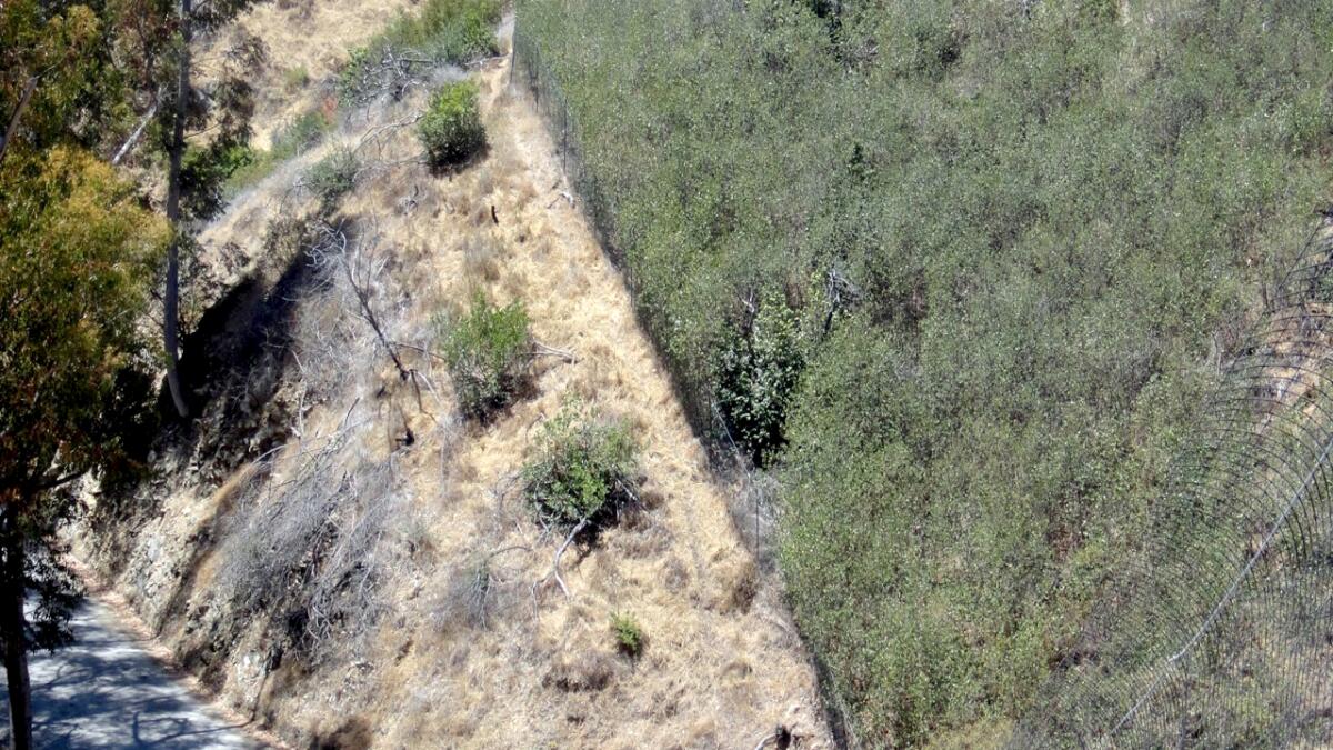A photo showing inside and outside of a fenced restoration area.
