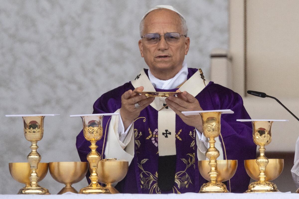 Pope Leo XIV conducts Mass 